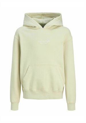 JORVESTERBRO - Luvtröja - celadon tint