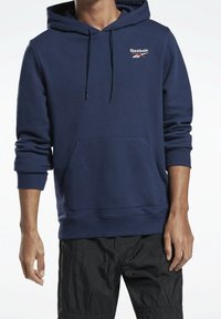 Sweatshirt à capuche bleu marine en mélange de coton. Comporte une poche kangourou, des poignets côtelés et un logo brodé sur la poitrine.