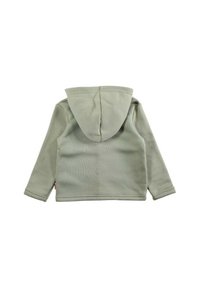 Veste à capuche en tissu vert clair, avec une texture lisse, des manches longues et un design simple et épuré. Aucun logo visible.