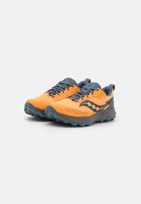 Saucony PEREGRINE 14 GTX - Scarpe da trail running - peel/shadow