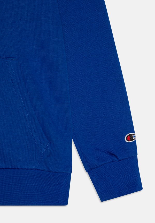 ICONS HOODIE WITH SMALL LOGO - Sweatshirt - bai2