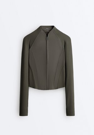 Veste ajustée olive verte à manches longues, manches côtelées et fermeture éclair frontale, présentée à plat sur un fond blanc.