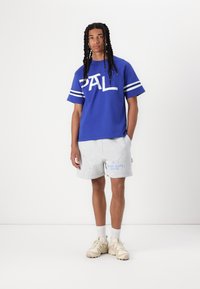 Pal Sporting Goods UNISEX niebieski