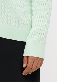 Lys grønn kabel-strikket genser med ribbestrikket kant og mansjetter. Myk tekstur, tettsittende design og behagelige ermer. Svart bakgrunn.