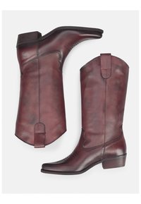 Braune Leder-Cowboystiefel mit spitzer Zehenform, niedrigem Blockabsatz und dekorativer Stickerei entlang des Schafts und der Zehen. Schmaler, eleganter Schnitt.