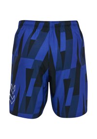 Blå och svarta mönstrade shorts med elastisk midja och vita chevroner på ena sidan, tillverkade av lättviktigt tyg.