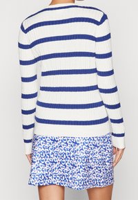 Randig vit tröja med blå horisontella ränder, har långa ärmar och rund halsringning, i kombination med en kjol i blå leopardmönster.