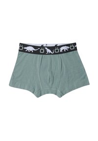 Boxer cortos de algodón verde con una cinturilla negra que presenta patrones de dinosaurios y animales en blanco. Textura suave con detalles de costura.