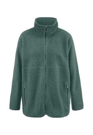 Groene fleecejack met een hoge kraag, een voorkeursrits en twee zijzakken. Zachte textuur met een gladde afwerking en geen zichtbare patronen.