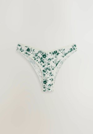 Next 7 PACK - Briefs - green