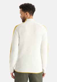 icebreaker MERINO LODGE HALF ZIP - Striktrøje - NATURAL