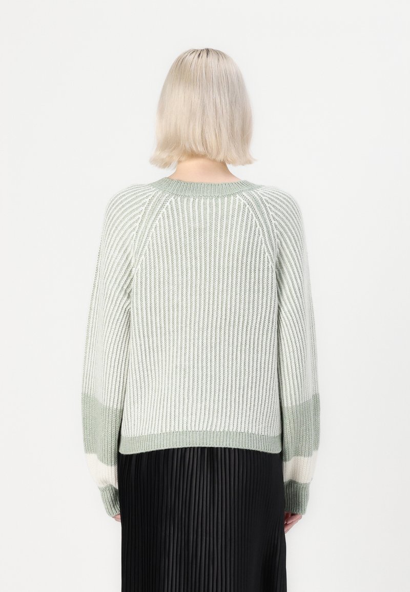 Gebreide trui met een ribbelstructuur in lichtgroen en wit, voorzien van een ronde hals en lange mouwen, gecombineerd met een zwarte plissérok.