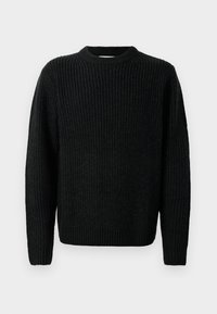 JORBLEECKER CREW NECK  - Vesta - black/asphalt