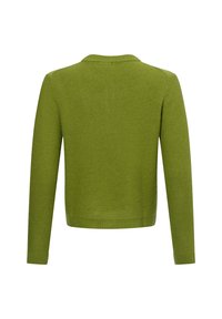 Franco Callegari Vest - erbse