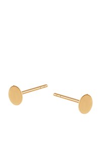 Złote kolczyki w kształcie okrągłych dysków o gładkiej powierzchni. Każdy kolczyk wyposażony jest w prosty sztyft dla zapewnienia bezpiecznego mocowania.