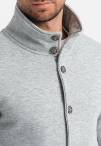 Ombre CASUAL - Felpa con zip - grey melange