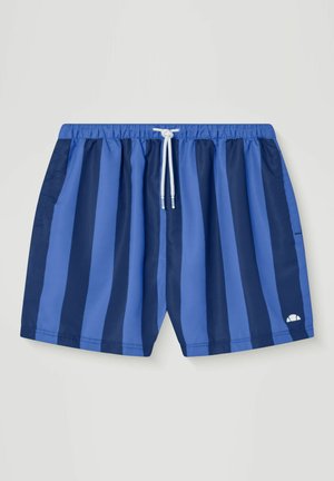 Blå badeshorts med skiftevis mørke og lyse lodrette striber, elastisk taljebånd, hvid snor og lille logo på venstre ben.