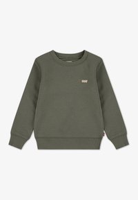 Non sélectionné, deep lichen green