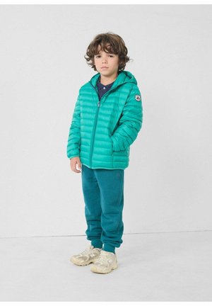 CAPUCHE PERSAN HUGO - Gewatteerde jas - vert