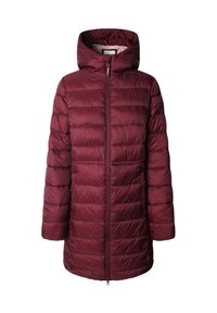 Pepe Jeans SALLY - Wintermantel - merlot red