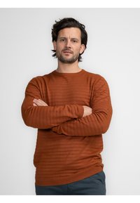 Pulover texturat de culoare ruginită, cu dungi orizontale, guler rotund și mansete încrucișate, purtat de un bărbat cu brațele încrucișate.