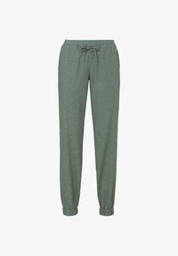 Sélectionné, agave