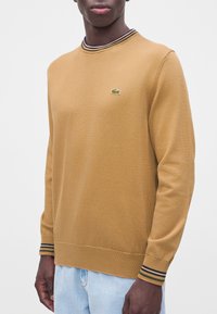 Homme portant un pull couleur chameau avec col et poignets rayés et un petit logo crocodile vert sur la poitrine, associé à un jean bleu clair.