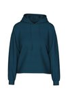 CHILLI HOODIE - Huppari - reflecting pond