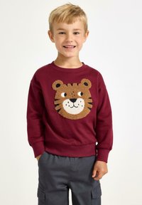 Ragazzo giovane che sorride, indossando una felpa bordeaux con un design di faccia di tigre testurizzata e pantaloni cargo grigio scuro, in piedi su uno sfondo bianco.