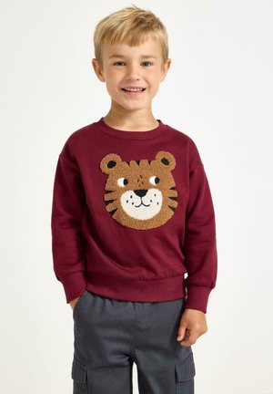 Ragazzo giovane che sorride, indossando una felpa bordeaux con un design di faccia di tigre testurizzata e pantaloni cargo grigio scuro, in piedi su uno sfondo bianco.