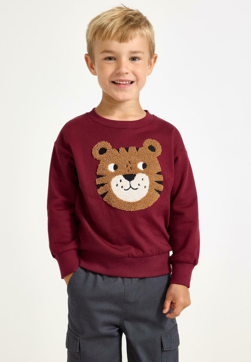 Ragazzo giovane che sorride, indossando una felpa bordeaux con un design di faccia di tigre testurizzata e pantaloni cargo grigio scuro, in piedi su uno sfondo bianco.