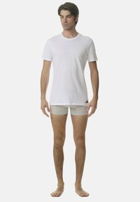 Biała bawełniana koszulka z okrągłym dekoltem, w zestawieniu z jasnoszarymi bokserkami. Model stoi na boso, w neutralnej pozie.