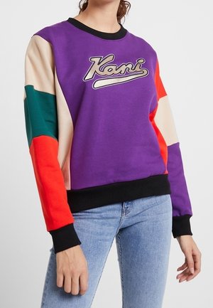 Sudadera - multi-coloured