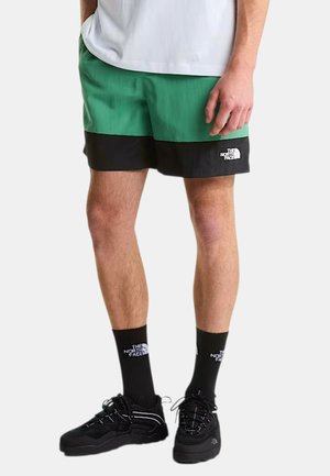 Mężczyzna noszący zielono-czarne spodenki The North Face, czarne skarpetki i czarne buty sportowe, stoi z rękami swobodnie opuszczonymi wzdłuż ciała.
