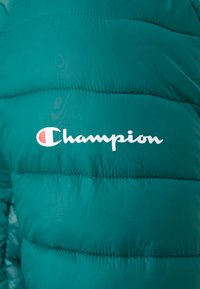 Champion ICONS LIGHT HOODED JACKET - Chaqueta de invierno - green/black
