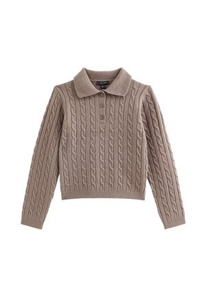 Taupe'owy sweter z długim rękawem o splocie warkoczowym, z kołnierzykiem i trzema guzikami na przedniej listwie.