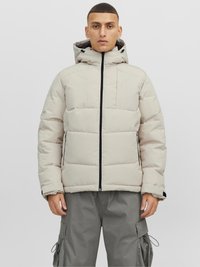 Jack & Jones - JCOOTIS - Winter jacket - moonbeam Thumbnail Image 1