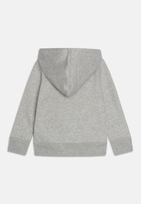 Sudadera con capucha de color gris claro, fabricada con tejido suave. Cuenta con un bolsillo canguro, puños y dobladillo acanalados, y una capucha redondeada.