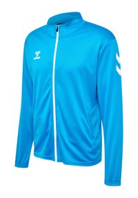 Hellblaue Trainingsjacke mit Stehkragen, weißem Reißverschluss und Seitentaschen. Mit einem Logo und drei weißen Chevronstreifen am Ärmel.