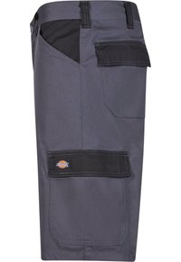 Dickies WORKWEAR EVERYDAY  - Short - grey black