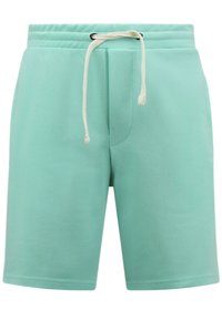 Mintgroene shorts van zacht materiaal, met een elastische tailleband en een crèmekleurige koord, en een eenvoudig, strak ontwerp.
