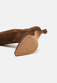 Dolce Vita AUGGIE - Bottes - dark brown