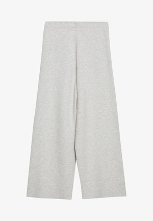 SPOOK - Trousers - grau