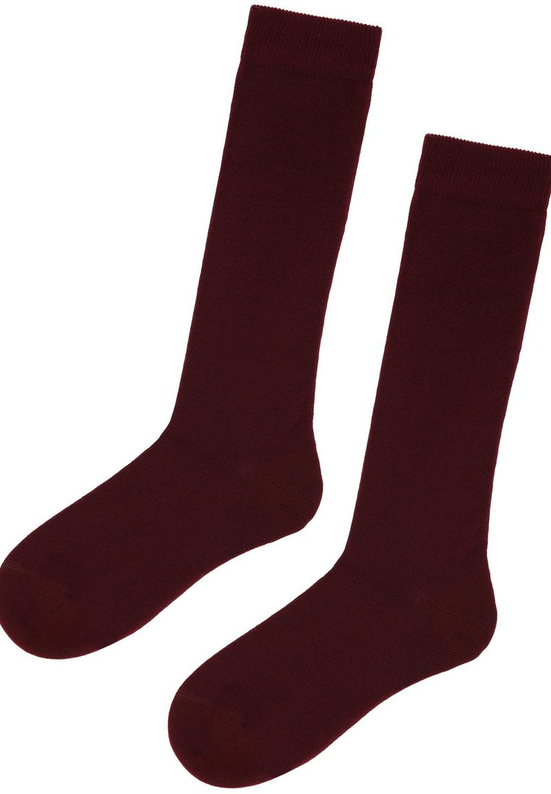 Calzedonia BREATHABLE LONG - Strømper - bordeaux