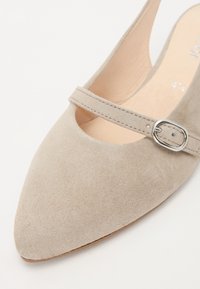 Beige suede pointed-toe shoe with a Mary Jane strap and silver buckle detail. Smooth texture and minimalistic design.