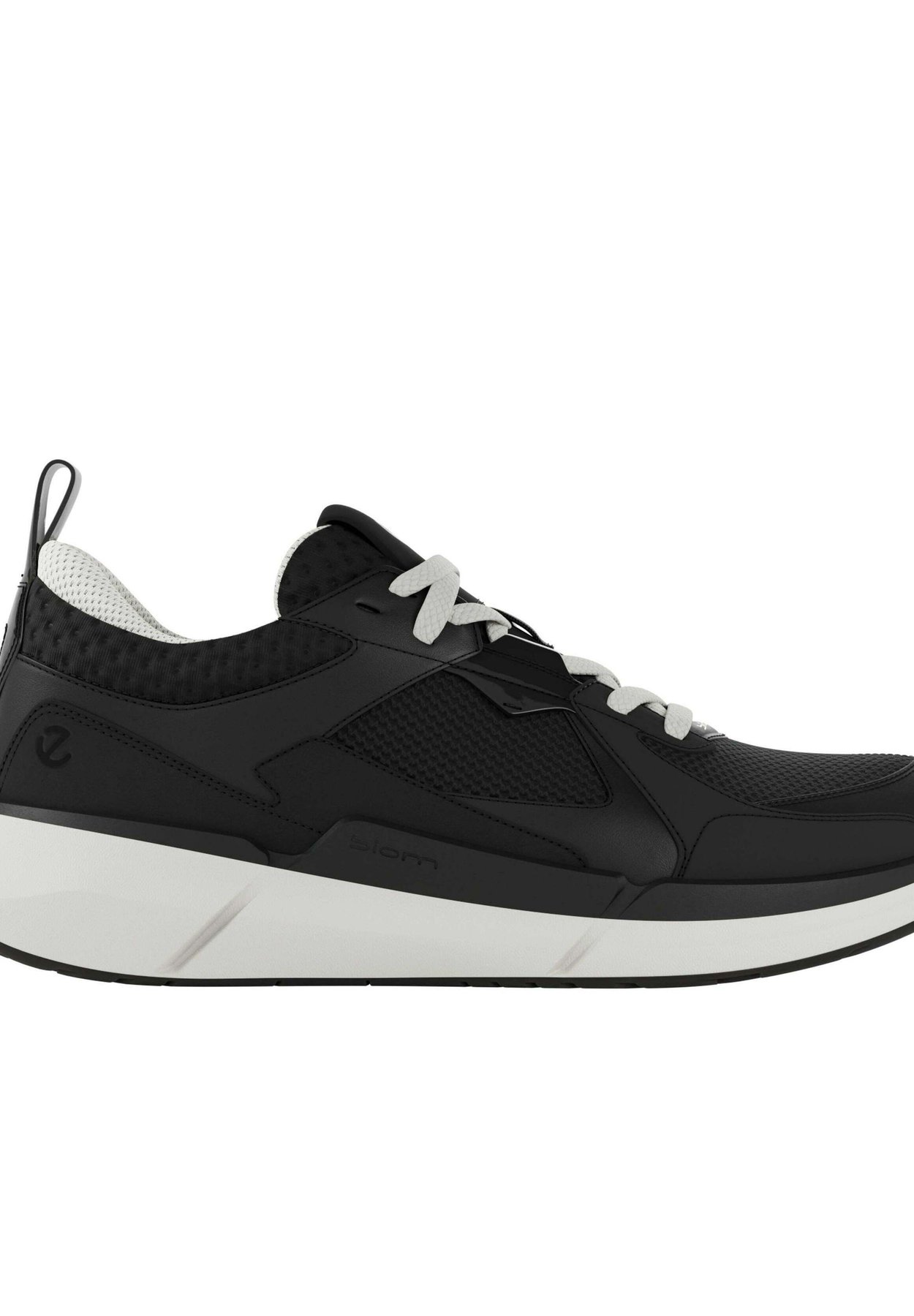 BIOM 2.2