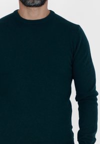 Maglione in lana verde scuro con collo tondo, maniche lunghe e una texture liscia. I polsini e l'orlo a coste completano il design.
