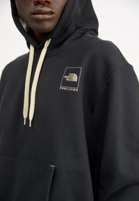 The North Face COORDINATES - Jersey con capucha - tnf black