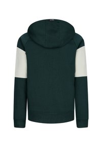 Felpa verde con pannelli bianchi sulle spalle, polsini e orlo a coste. Caratterizzata da un cappuccio spazioso e da un morbido materiale misto cotone.