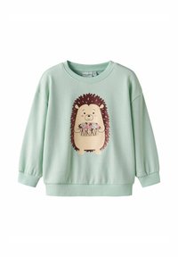 Lichtgroene kindersweatshirt met een glimlachende egel die roze bloemen in een mand vasthoudt, bedrukt op de voorkant.